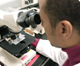 A researcher looks into a microscope